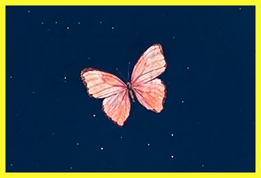 کد پیشواز ایرانسل بدون کلام فرید سعادتمند پروانه