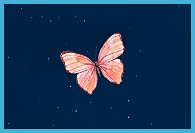 کد آوای انتظار بی کلام پروانه فرید سعادتمند همراه اول کد آوای انتظار بی کلام پروانه فرید سعادتمند همراه اول